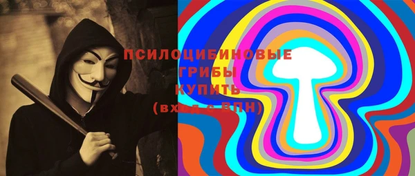 прущая мука Богородицк