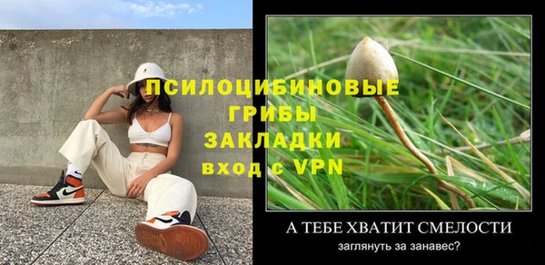 прущая мука Богородицк