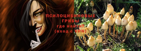 дурь Богданович