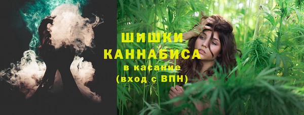 дурь Богданович